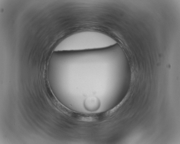 X0000082700171200701260939
