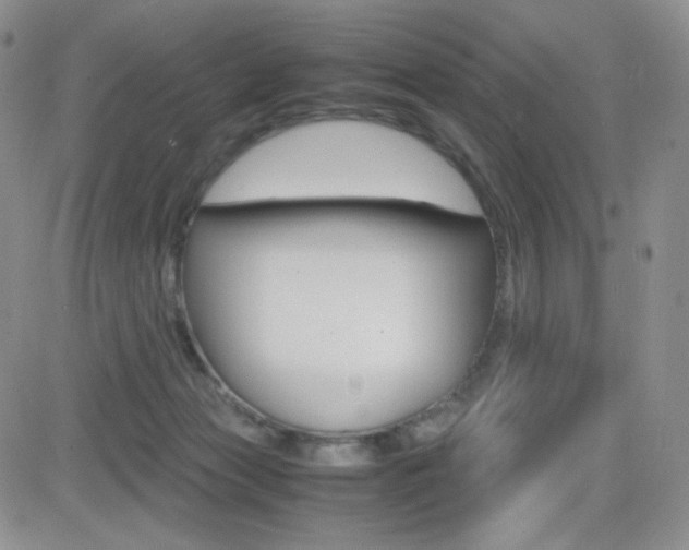 X0000082700173200701260939