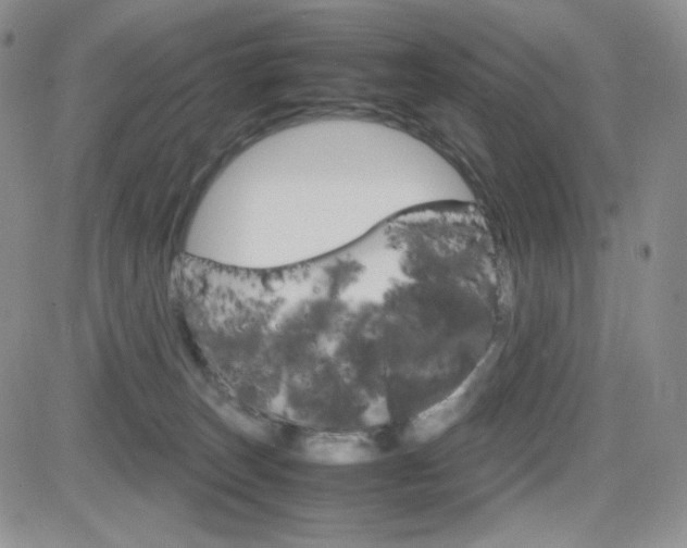 X0000082700179200701260939