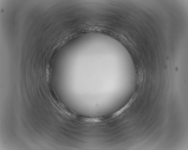 X0000082700183200701260939