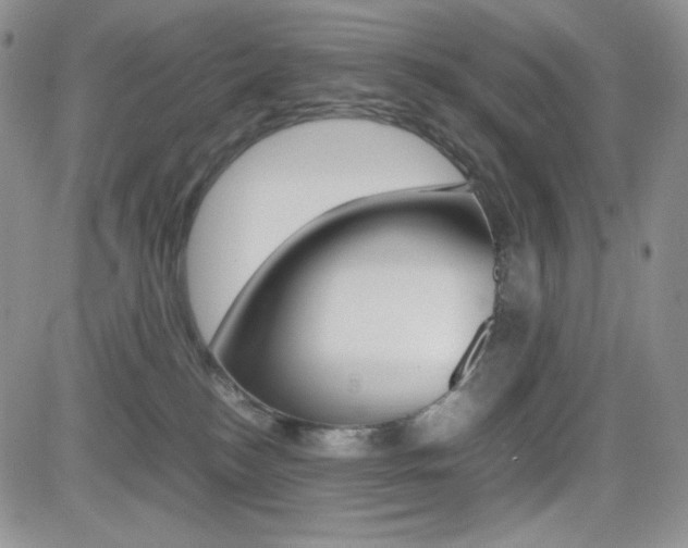 X0000082700184200701260939