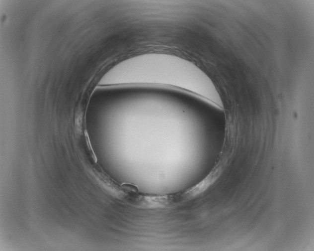 X0000082700188200701260939