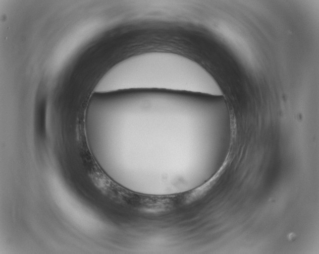 X0000082700191200701260939