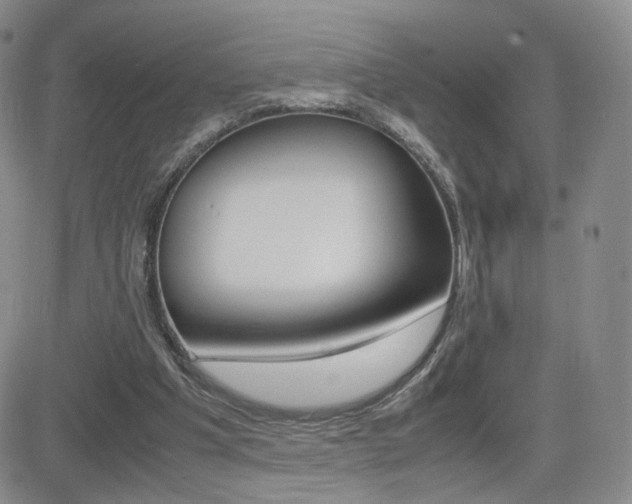 X0000082700201200701260938