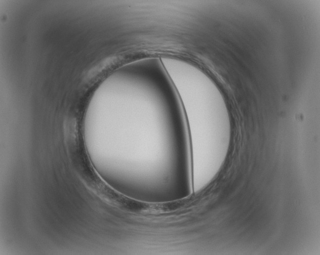 X0000082700211200701260938