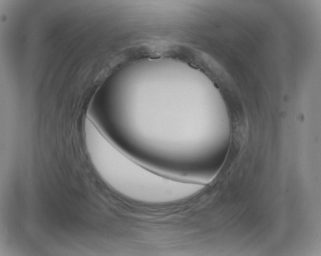 X0000082700221200701260938