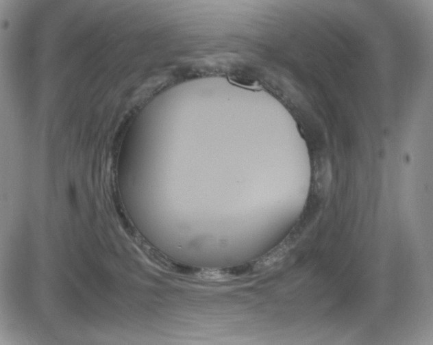 X0000082700231200701260938