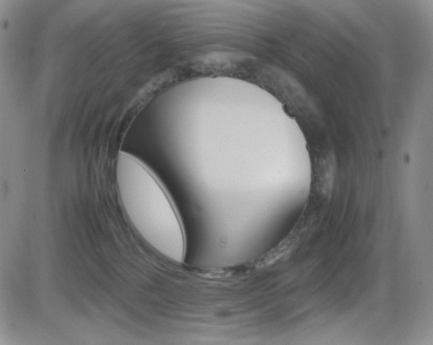 X0000082700232200701260938