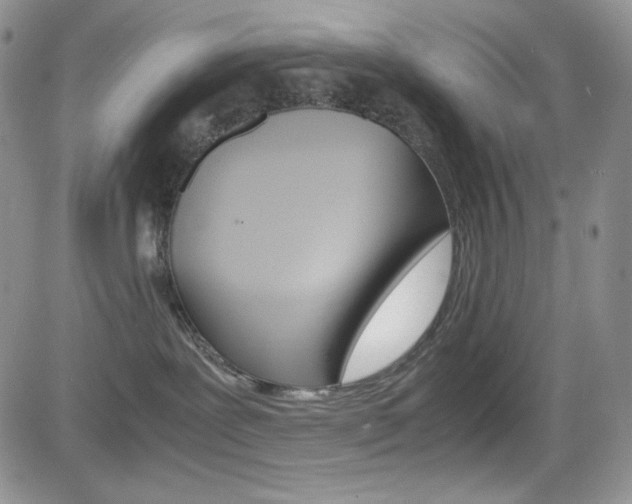 X0000082700239200701260938