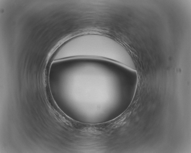 X0000082700244200701260937