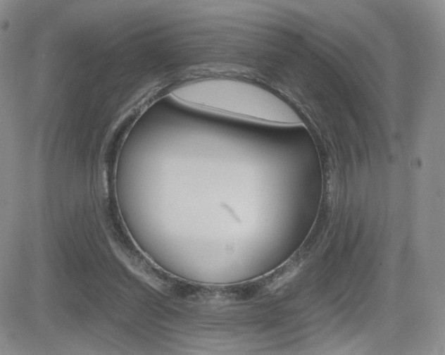 X0000082700254200701260937