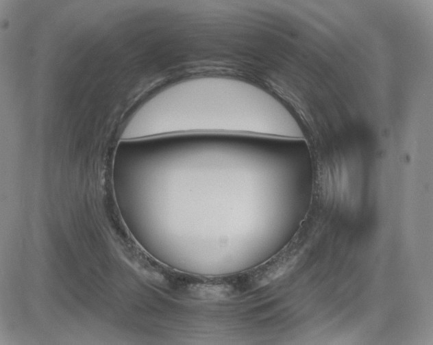 X0000082700255200701260937