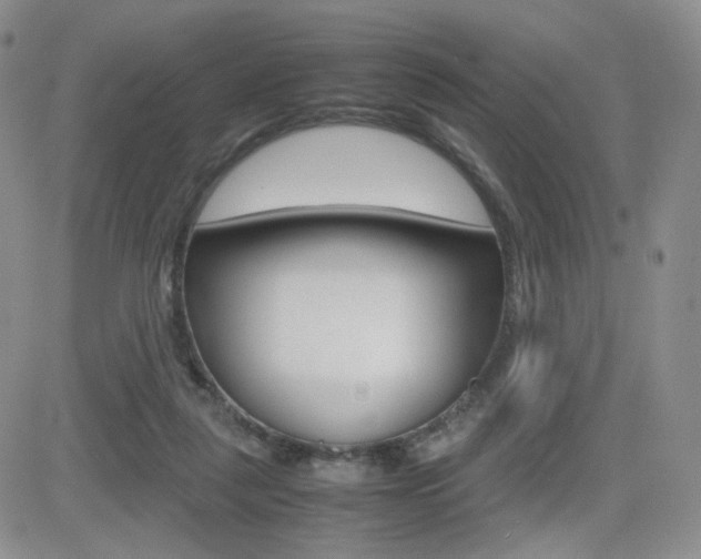 X0000082700259200701260937