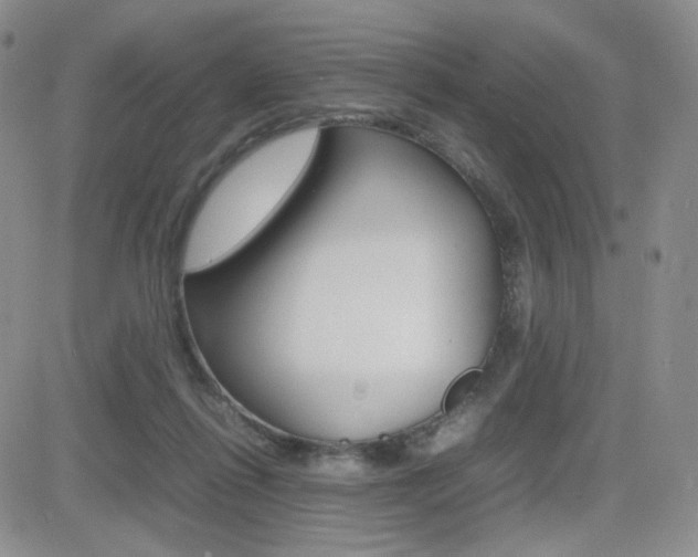 X0000082700262200701260937