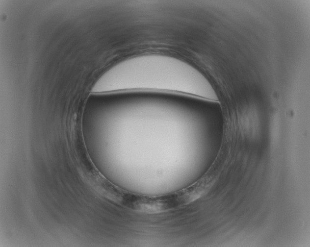 X0000082700263200701260937