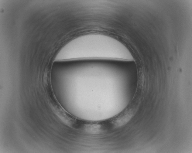 X0000082700266200701260937