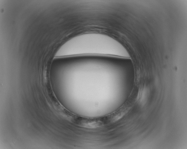 X0000082700267200701260937