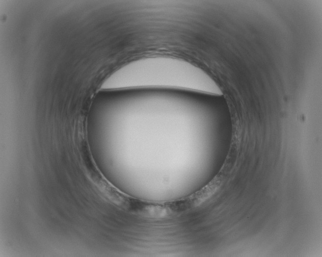 X0000082700272200701260937