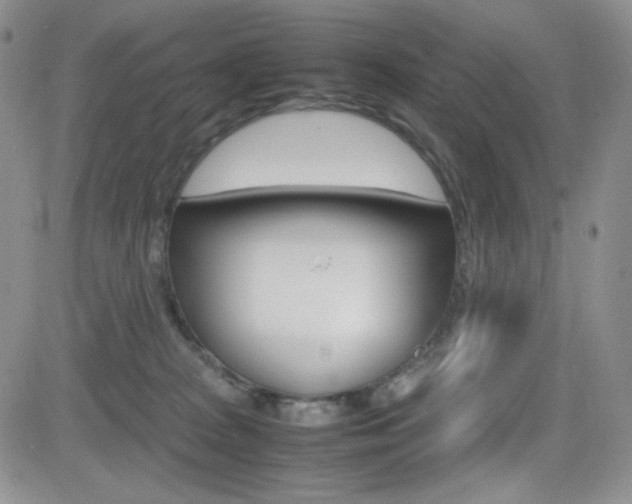 X0000082700277200701260937