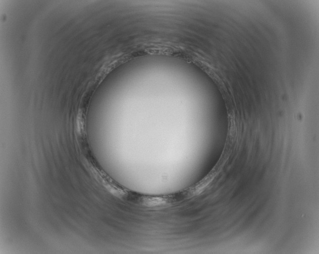 X0000082700287200701260937