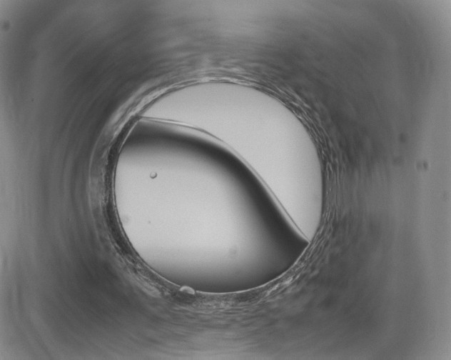 X0000082700291200701260937