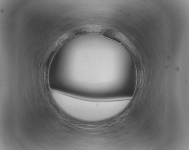 X0000082700309200701260936