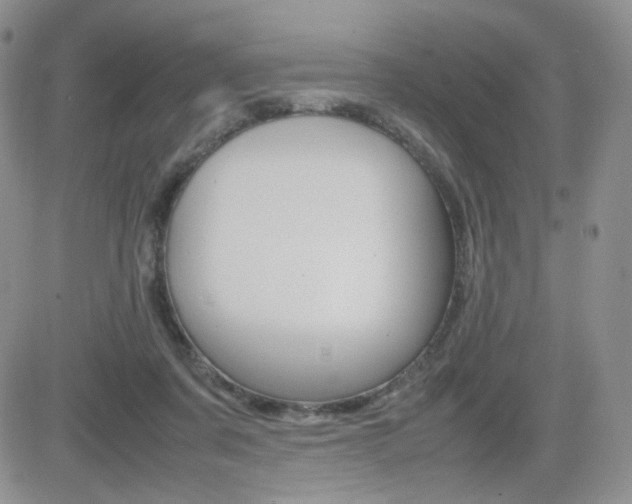 X0000082700311200701260936