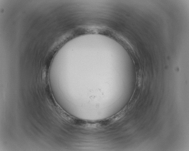 X0000082700314200701260936