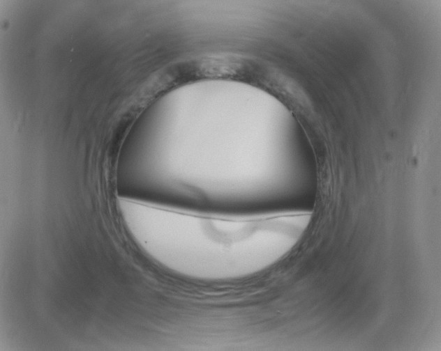 X0000082700315200701260936
