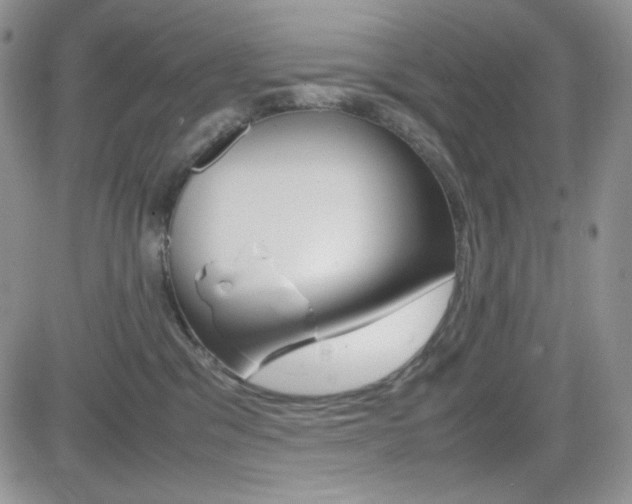 X0000082700329200701260936