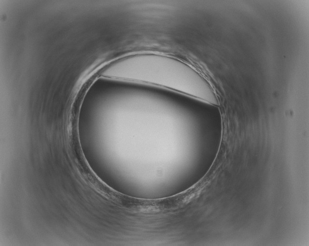 X0000082700344200701260935