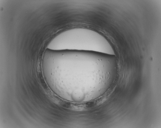 X0000082700359200701260936