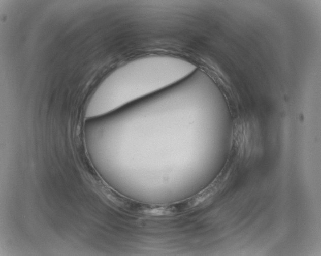 X0000082700365200701260936