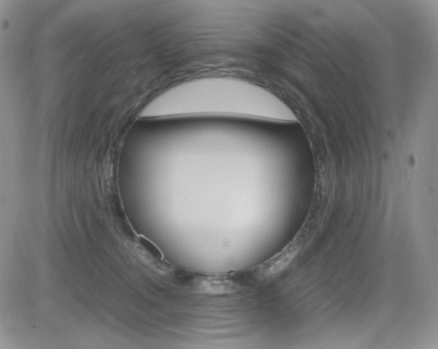 X0000082700372200701260936