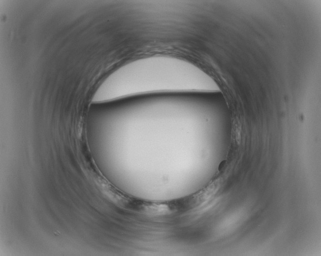 X0000082700374200701260936