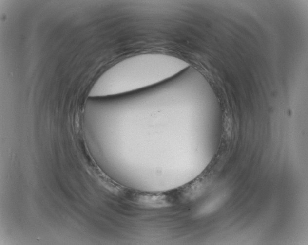 X0000082700375200701260936
