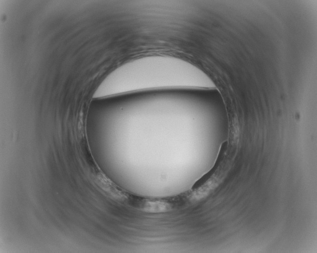 X0000082700376200701260936