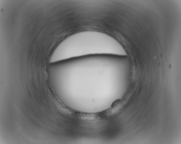 X0000082700377200701260936