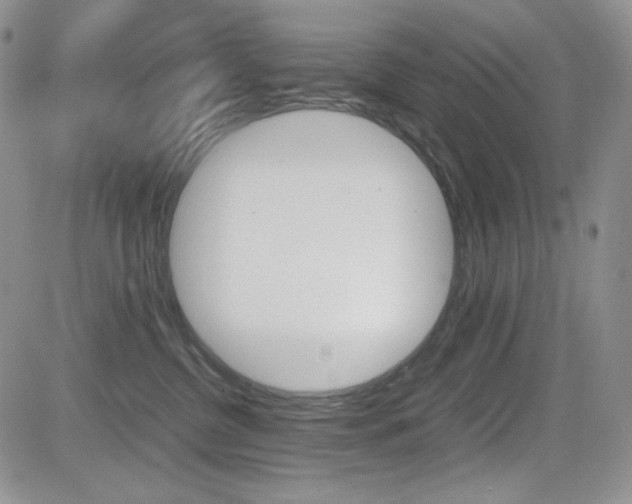X0000082700380200701260936