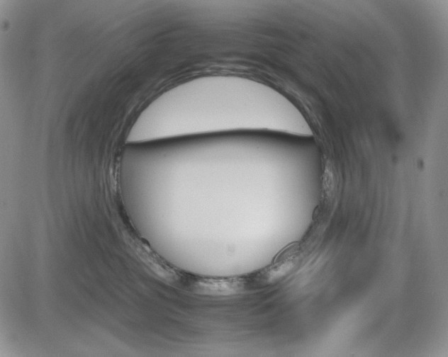 X0000082700381200701260936