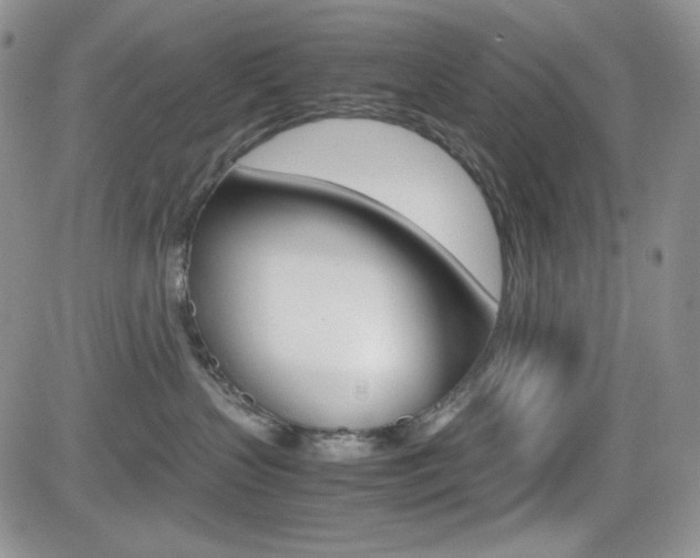 X0000082700383200701260936