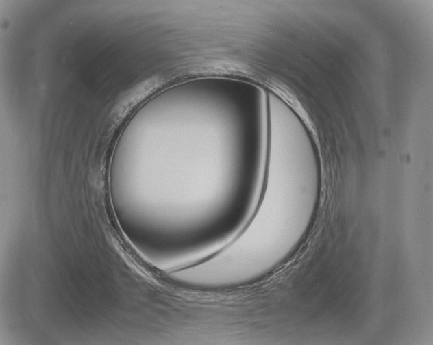 X0000082700389200701260935
