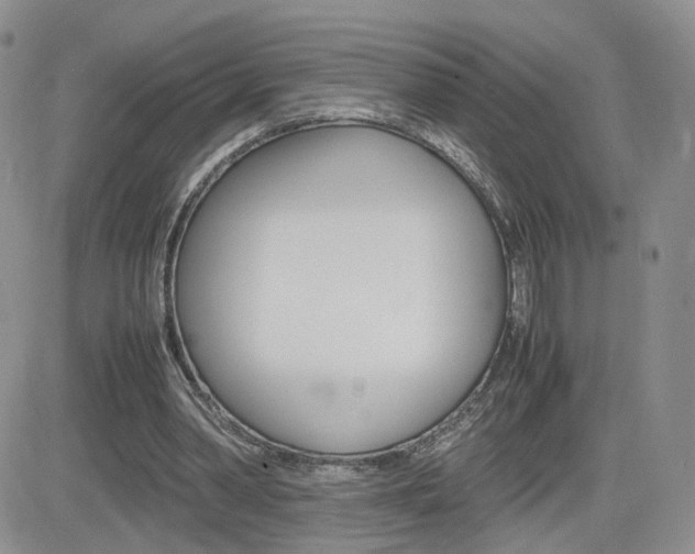 X0000082700390200701260935