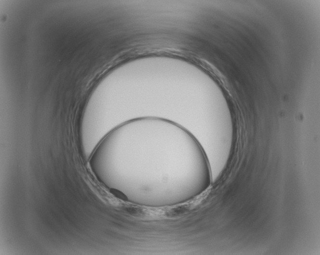 X0000082700405200701260935