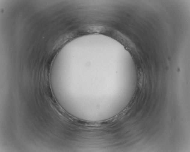 X0000082700414200701260935