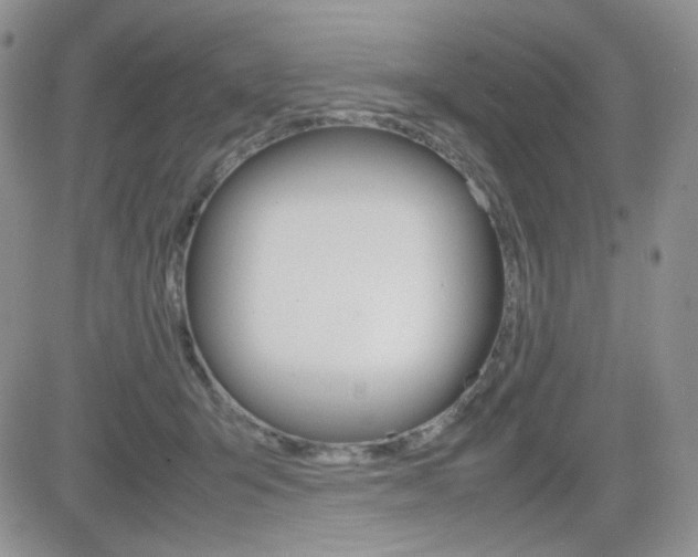 X0000082700415200701260935