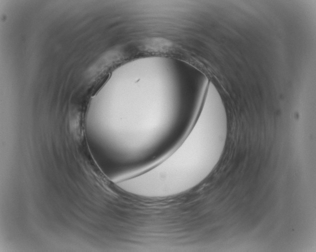 X0000082700428200701260934