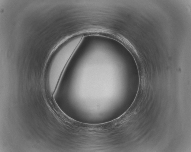 X0000082700436200701260934