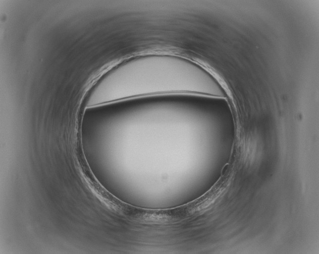X0000082700437200701260934