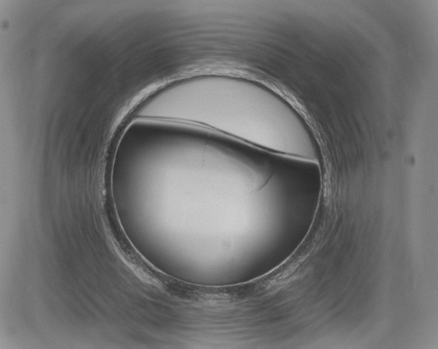 X0000082700438200701260934